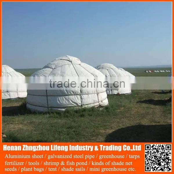Chinese Factory Supply Plastic Hdpe Tarp for Tent Roofing Cover photo-6