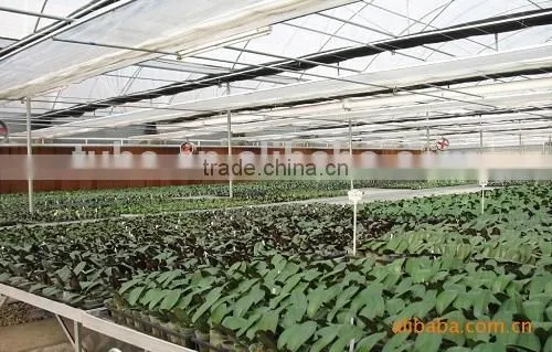 Agricultural Greenhouses Liquid Cooling Pad photo-4