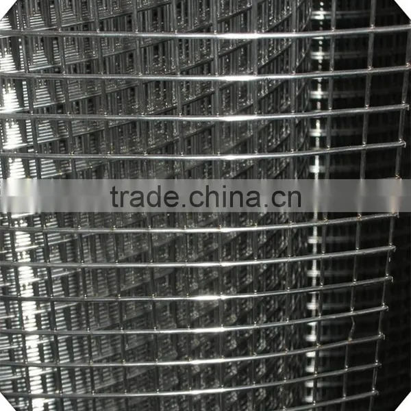 1*30m Galvanized Welded Wire Mesh Price photo-4