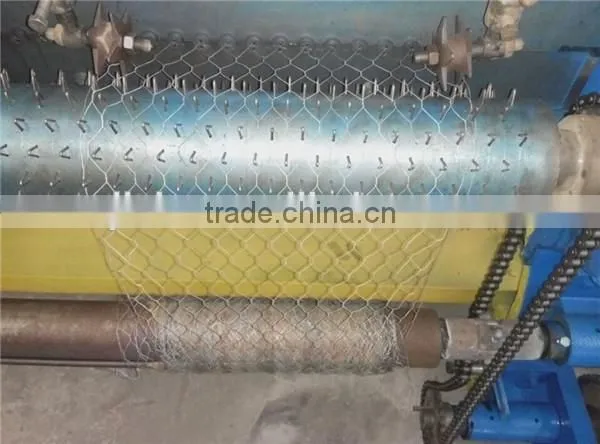 Hot Sale Hexagonal Wire Net Weaving Machine Manufacturer photo-5