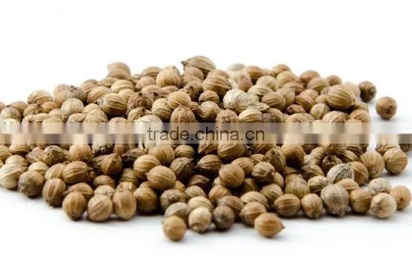 Coriander Seeds photo-3