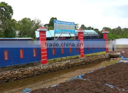 Sell Gracilaria, Eucheuma Spinosum And Eucheuma Cottoni Seaweeds photo-4