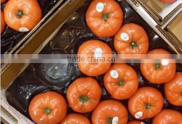 SGS/China/ PP Tray Liners for Pear photo-2