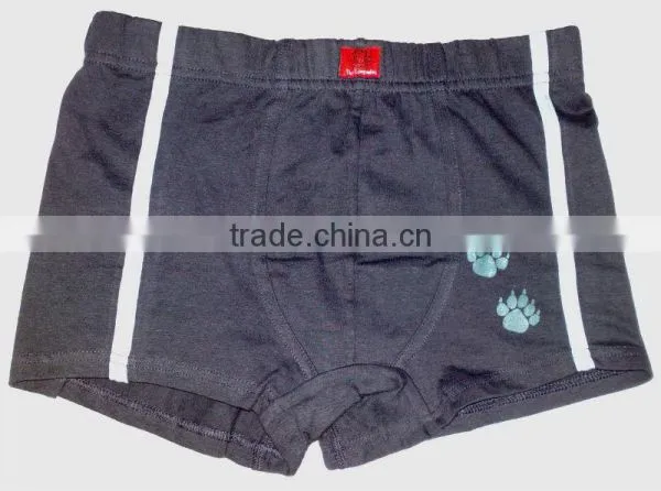 Mens Boxer Brief photo-2