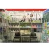 OEM Service for Anion Sanitary Napkin