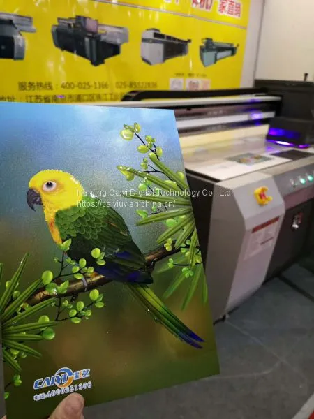 Caiyi UV-Flachbettdrucker (CY-UV2030) für Holz, Stahl, Glas und Keramik