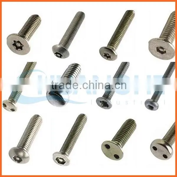 China Supplier Excellent Quality Torx Anti-theft Screw photo-3