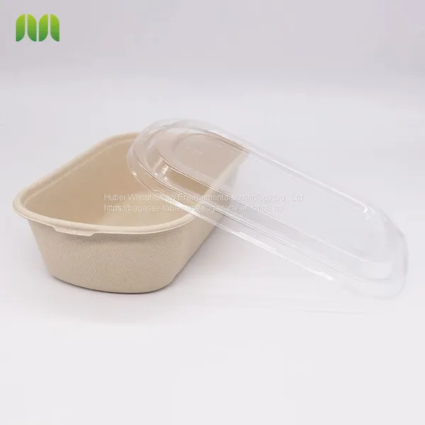 New Hot Disposable Biodegradable Single Compartment Salad Box Bagasse Food Box Take Away Sugarcane Container photo-2