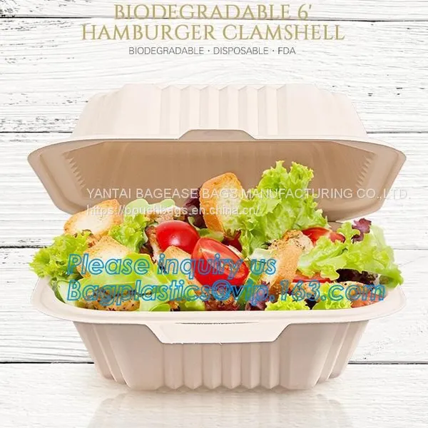 Compartment Hinged Container Sugarcane Bassage Pulp Food Serving Box 750ml Bassage Take Out Container Bagplastics Packa photo-3