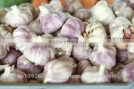 FRESH GARLIC photo-5