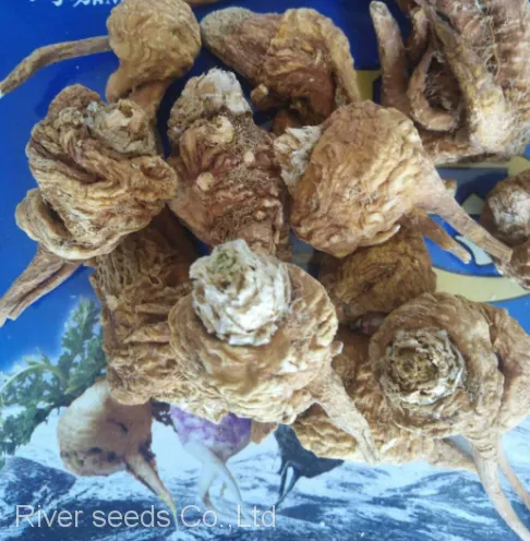 100g Bulk Supply Hybrid Mature Black Yellow Maca Seeds for Planting photo-2