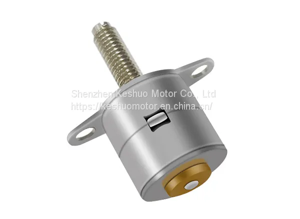10BY Stepper Motor photo-3
