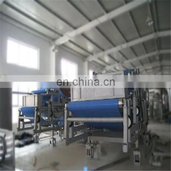 Top Quality Fresh Pineapple Juicing Machine Fruit Puree Processing Line photo-4