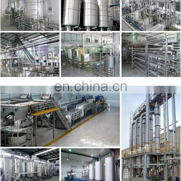 CHINA Market Vegetable Processing Machine Apple Orange Onion Production Line photo-3