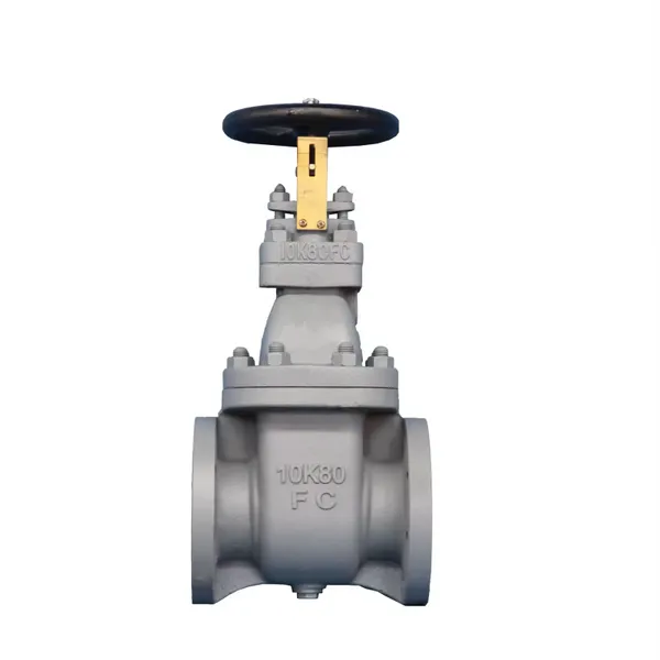 Hot Sale JIS Cas Iron Flange Type Gate Valve Use Marine FC 5K 100A 65A Gate Valve