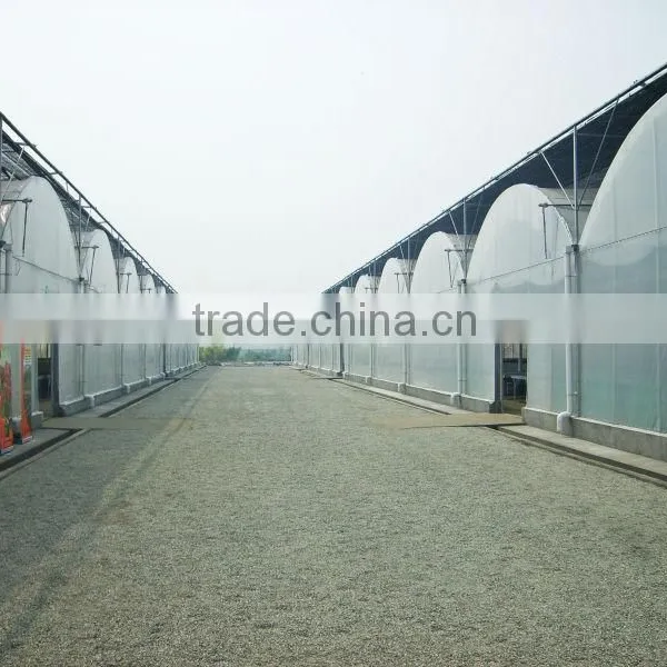 Low Commercial Greenhouse Cost photo-2