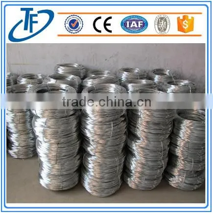 Stainless Steel Wire Mesh 304 304L REAL MANUFACTURER Sinter Metal Powder Filter photo-4