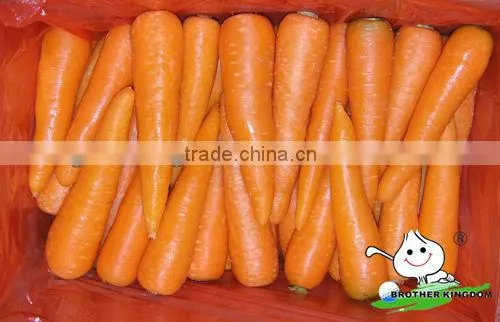 Fresh Carrot in Fresh Carrots,Organic Carrots photo-6