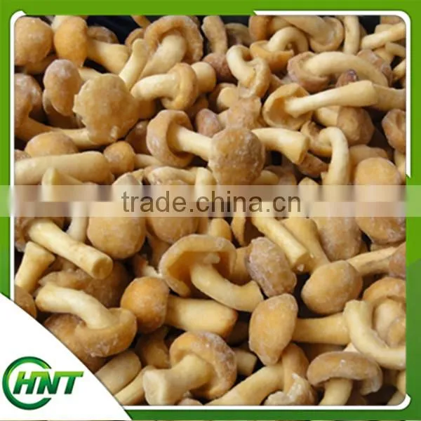 Bulk Frozen Nameko Mushroom Nameko