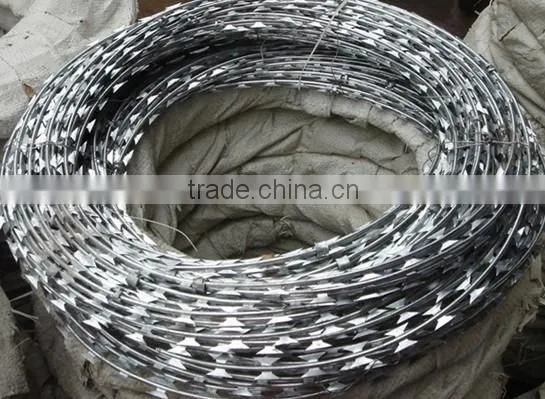 Anping Factory Direct Sale Galvanized Razor Barbed Wire photo-3
