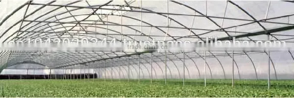 Greenhouse Tunnel photo-4