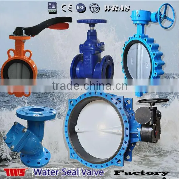 Various Valve:Butterfly Valve, Gate Valve, Check Valve and Strainer