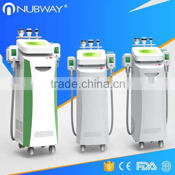 2017 Newest Cryolipolysis Home Slimming Lose Weight Machine Cryolipolysis Freezing Fat Machine Double Chin Removal photo-4