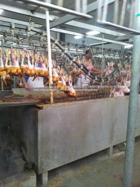 DUCK SLAUGHTER AND ABATTOIR MACHINE photo-3