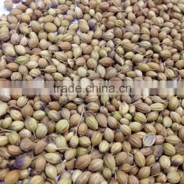 CORIANDER SEEDS