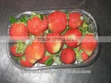 Fresh Strawberry photo-3