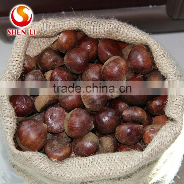 Big Size 2016 New Crop Fresh Dandong Chestnut for Advance Sale photo-2