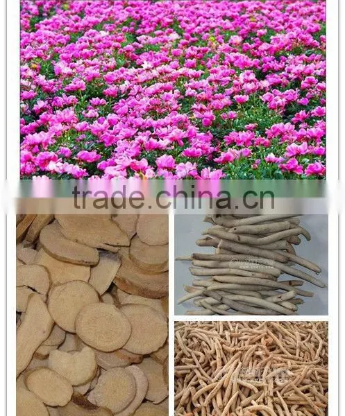 Dried Crude Pieces of Peony Roots