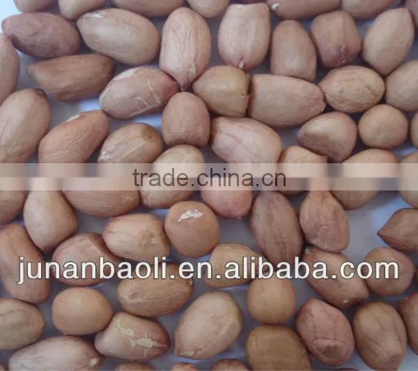Peanut Kernels and Peanuts Kernel photo-3