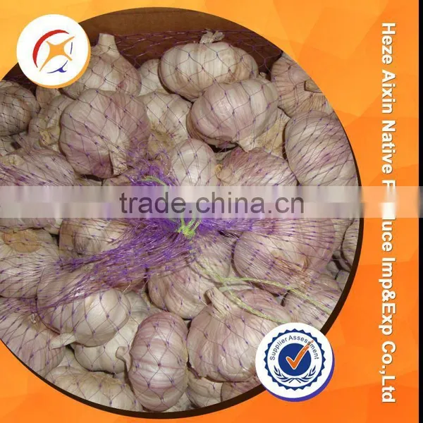 Fresh Garlic With Small Packing photo-6