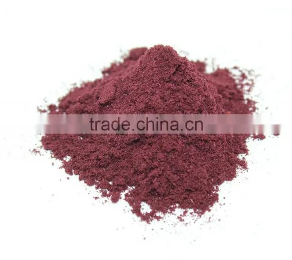 Freeze Dried Blueberry Powder
