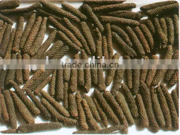 Long Pepper