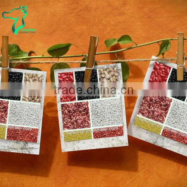 Beans Pulses Kidney Beans