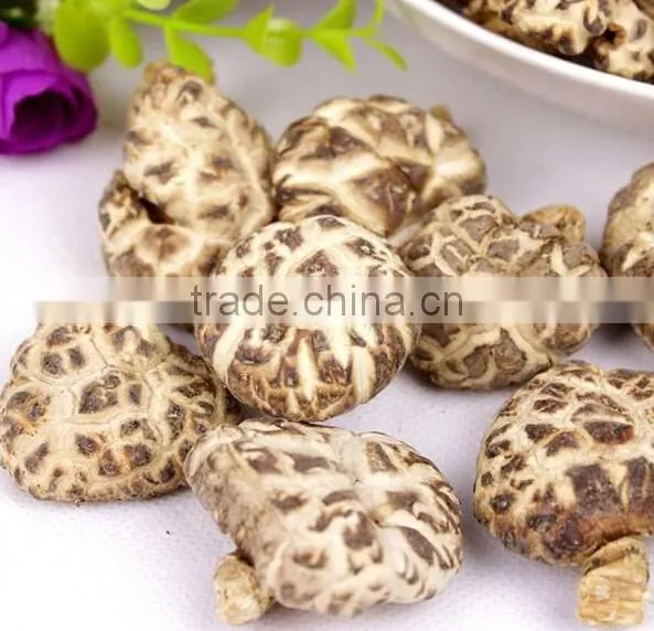 Hot Sale Log White Flower Mushroom photo-5