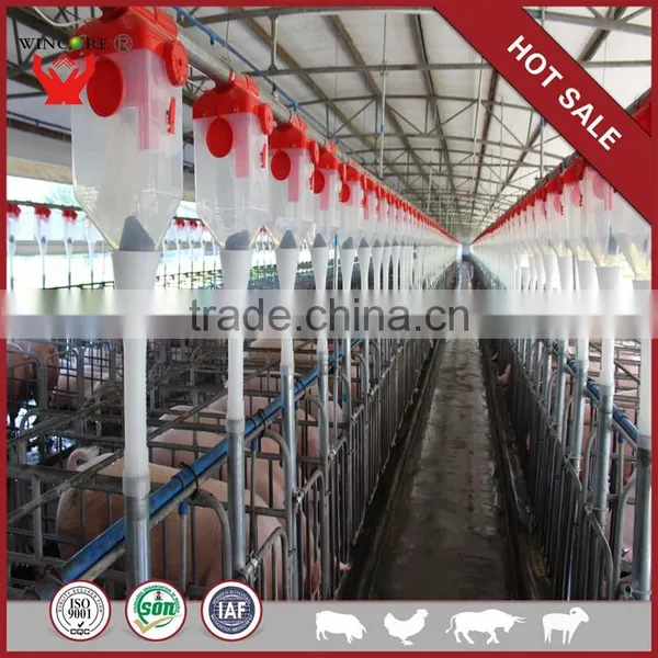 Pig Farming Feeding Equipment Livestock Equipment photo-2