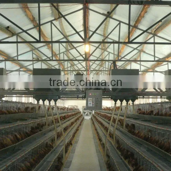 Automatic Feeding System