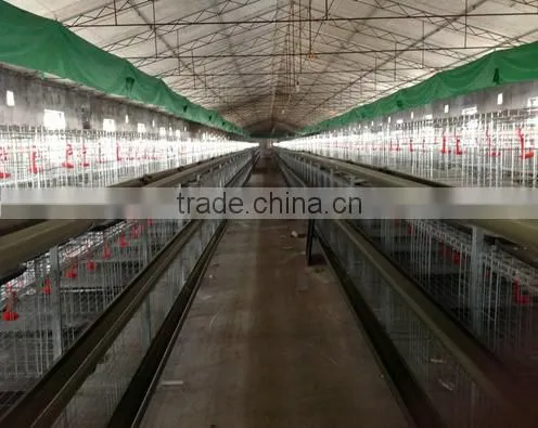 Broiler/ Layer Cage