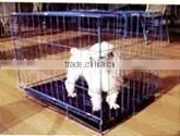Dog Cage