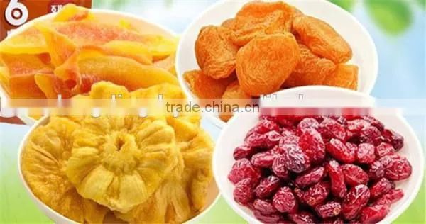 Stainless Steel Jack Fruit Drying Dryer/jack Fruit Dryer Machine With Good Quality photo-6