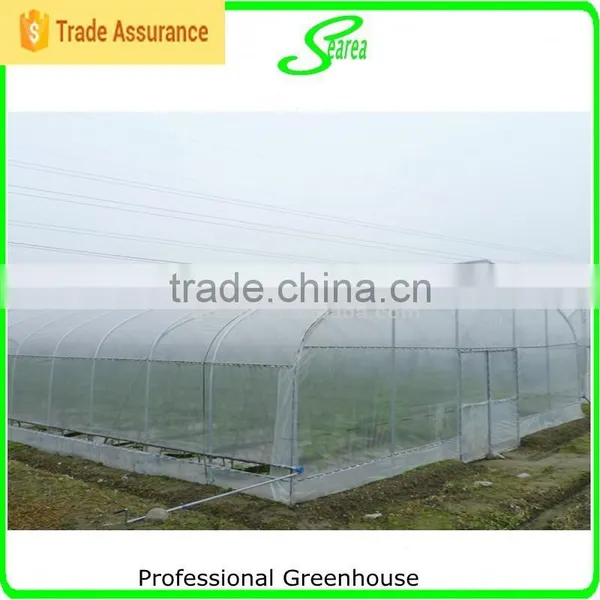 Agriculture Poly Tunnel Greenhouse for Sale photo-5