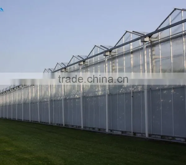 Large Multi-span PE Film Green House Agriculture & Commercial Used Greenhouse photo-4