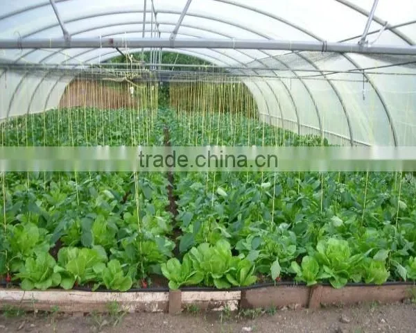 Agriculture Used Polythene Film Covering Greenhouse photo-3