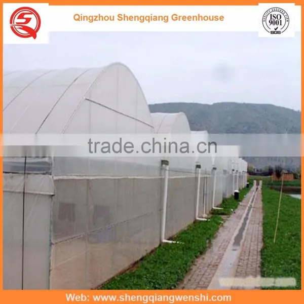 China Supplier Multi-span 7.2m Plastic PE Film Agriculture Greenhouse for Sale photo-3