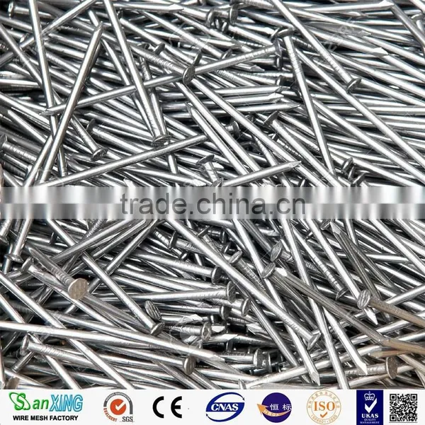 Common Nails for Construction Usage Iron Nails photo-5