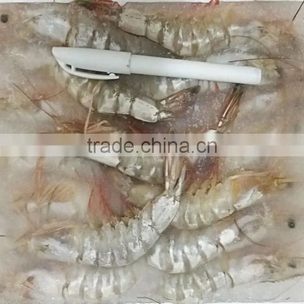 BQF Whole Round Vannamei White Shrimp photo-3