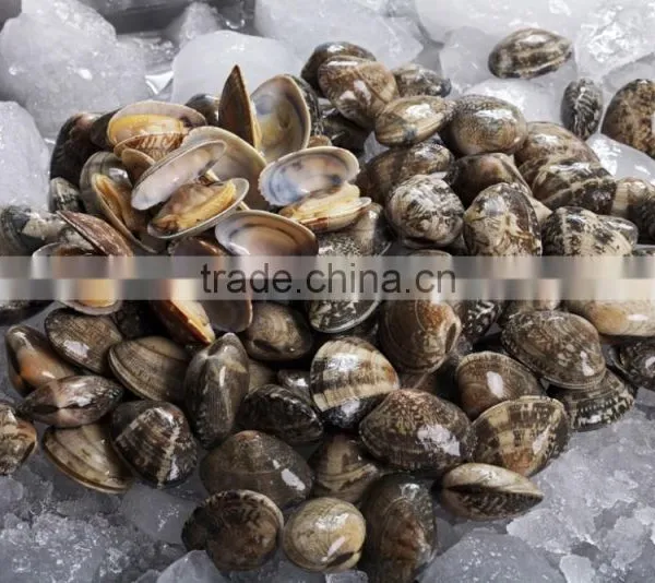 Sands off Short Necked Clam Meat photo-3